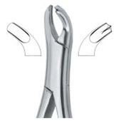 Harris Molars , left 18L